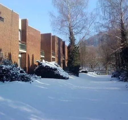 Hampton's Namur Вепьон